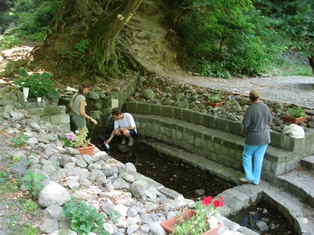 DSC05829 (Medium)